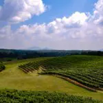North GA Blogs - Top Things to Do in Dahlonega, Georgia - Featured
