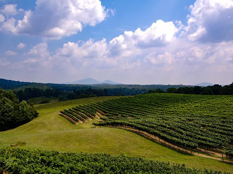 North GA Blogs - Top Things to Do in Dahlonega, Georgia - Featured