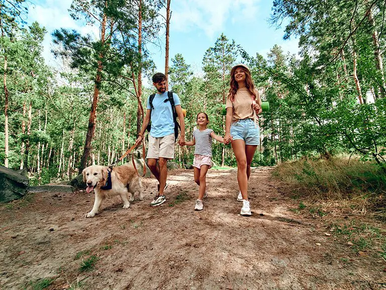North GA Blogs - Visit the Mineral Springs Walking Trail Near Downtown Blue Ridge - Featured