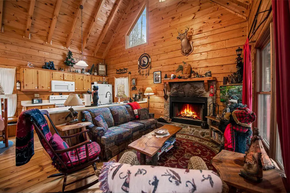 Ellijay - Bear Necessities - Featured