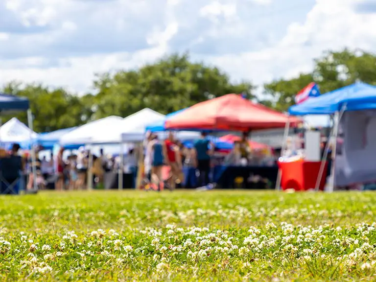 North GA Blogs - Butternut Creek Art Show Festival in Blairsville, GA - Featured