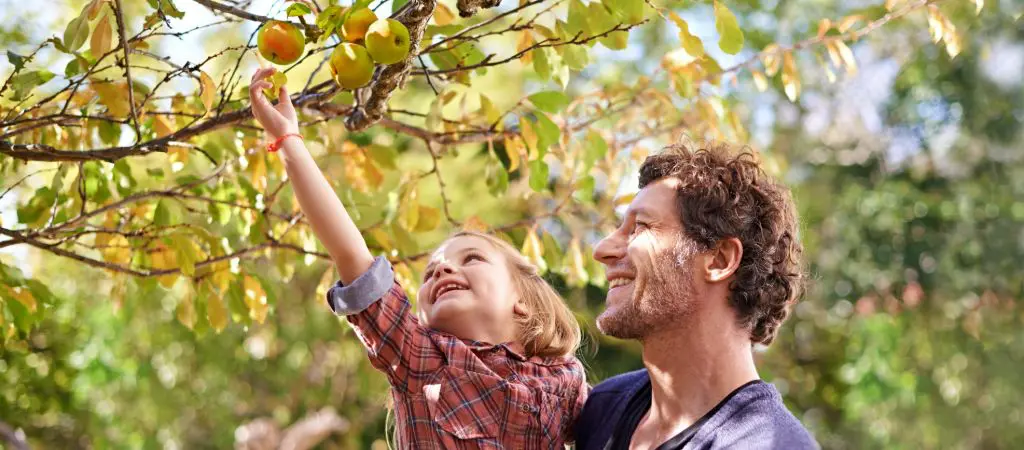 A smiling little girl reaches to pick an apple in a tree while her dad holds her up to help with a big grin.