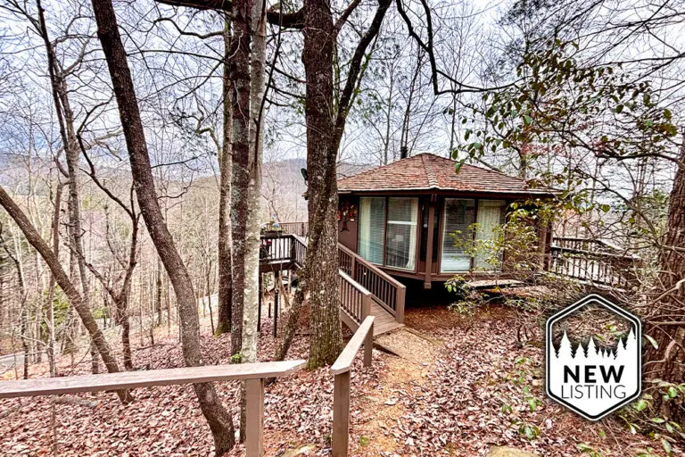 Big Canoe - Treehouse Mountain - Temporary Featured