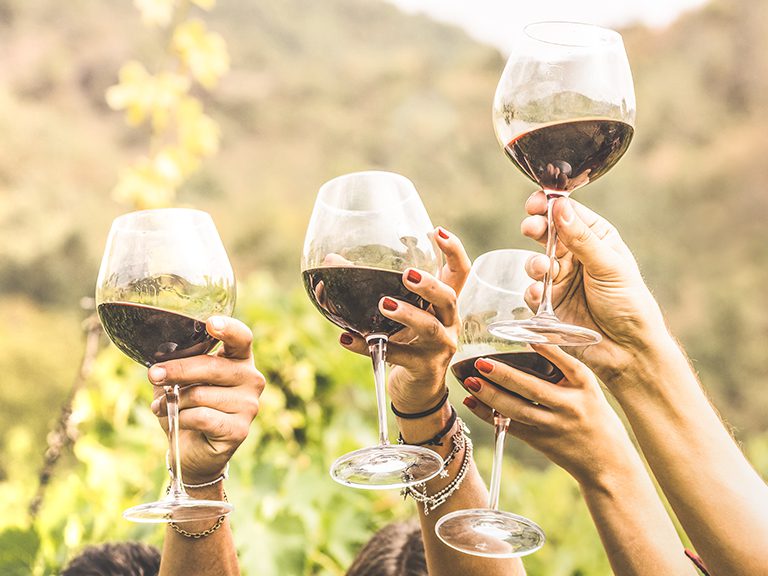 Wine Festivals | Blue Ridge