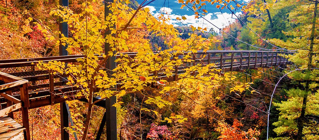 Tallulah Gorge State