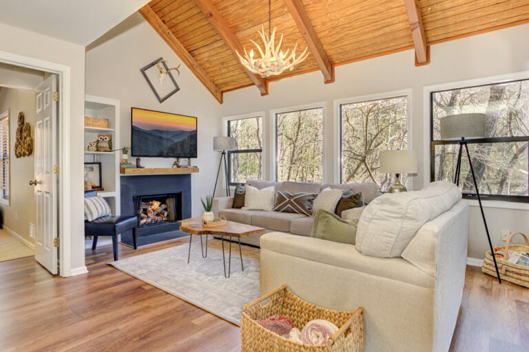 big canoe laughing fox featured