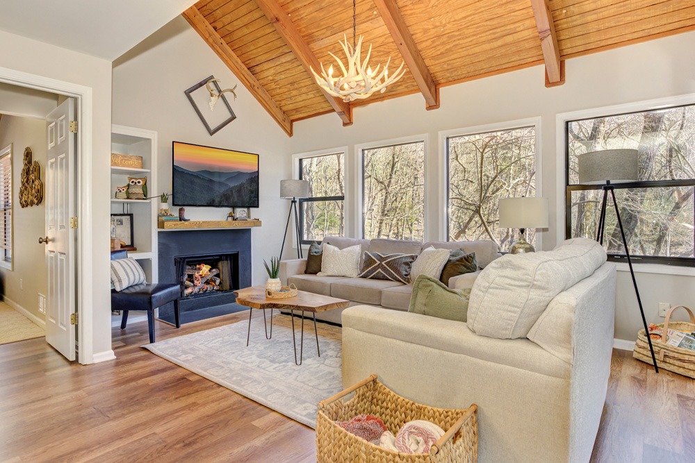 big canoe laughing fox featured