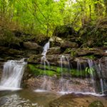 Natural Springs - North GA - Blog