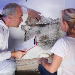 preventing-mold-in-your-vacation-rental