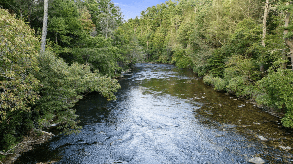 Blue Ridge - Riverwatch on the Toccoa - Featured