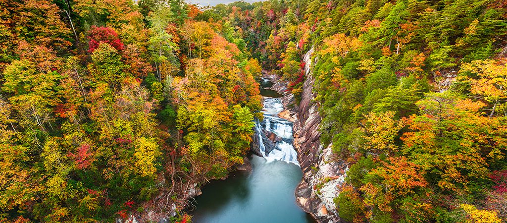 North GA Blogs - Experiencing Fall Colors in North Georgia - Banner