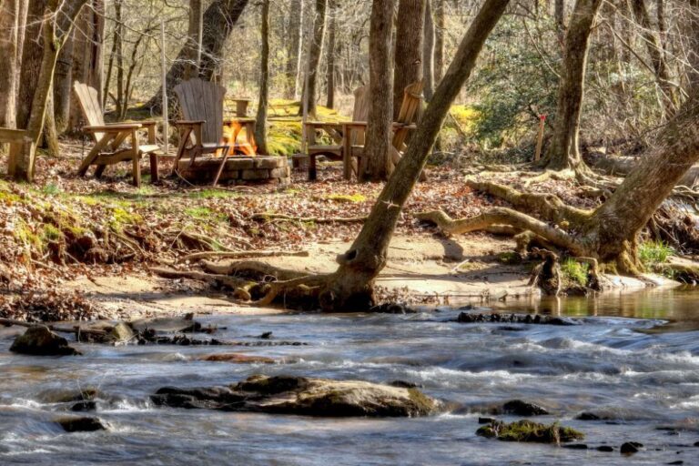 Ellijay - Cozy Creek Cabin - Feature