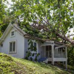 North GA Articles - Who Handles Fallen Trees at YOUR Vacation Rental - Featured