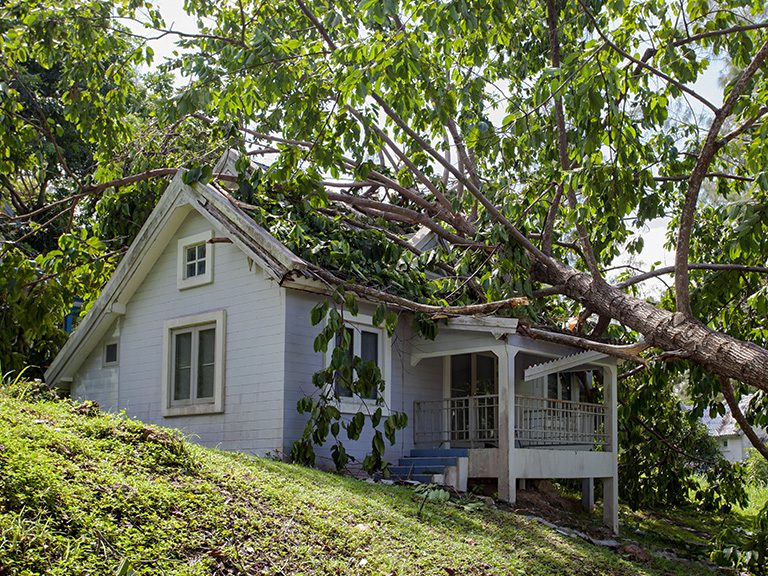 North GA Articles - Who Handles Fallen Trees at YOUR Vacation Rental - Featured