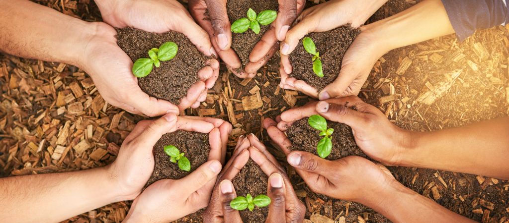 A variety of hands hold seedlings, forming a circle near the ground.