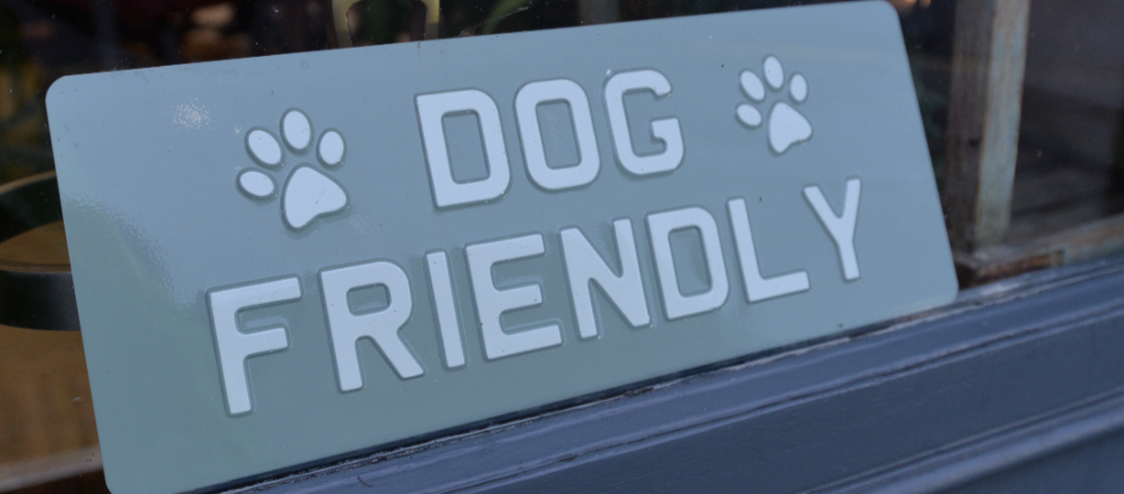 A light blue sign in a restaurant window reads "Dog Friendly."