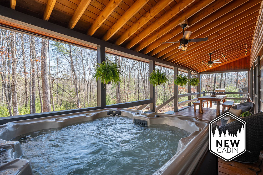 Blue Ridge - Laurel Ridge Retreat - Temporary Featured