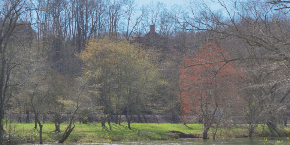 Blue Ridge - Toccoa River Mist - Exterior