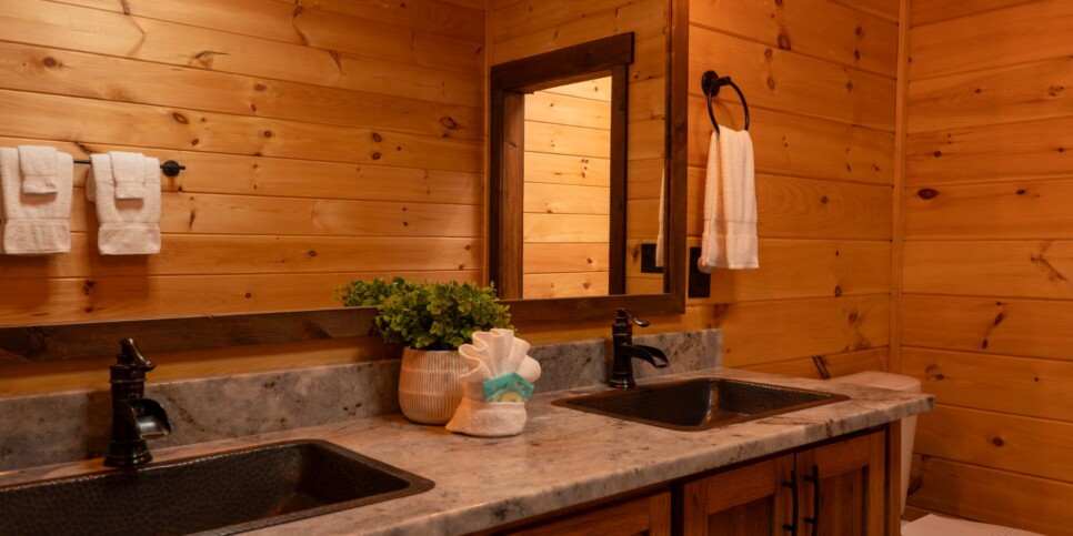 Blue Ridge Cabin - Toccoa River Mist - Bathroom