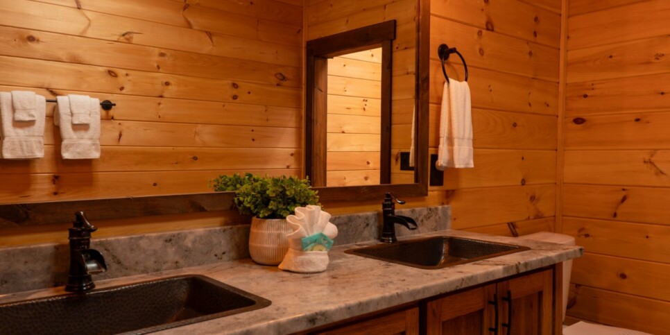 Blue Ridge Cabin - Toccoa River Mist - Bathroom