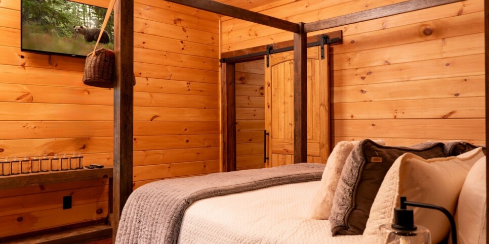 Blue Ridge Cabin - Toccoa River Mist - Bedroom