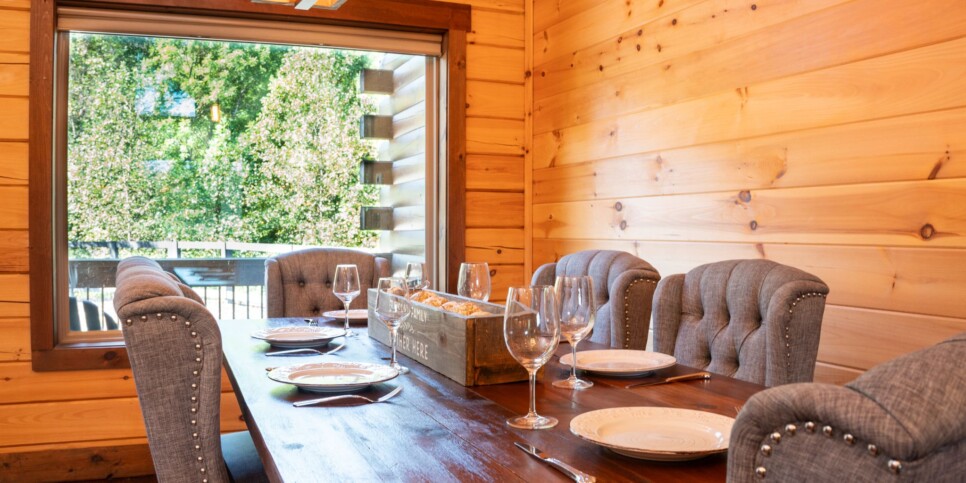 Blue Ridge Cabin - Toccoa River Mist - Kitchen