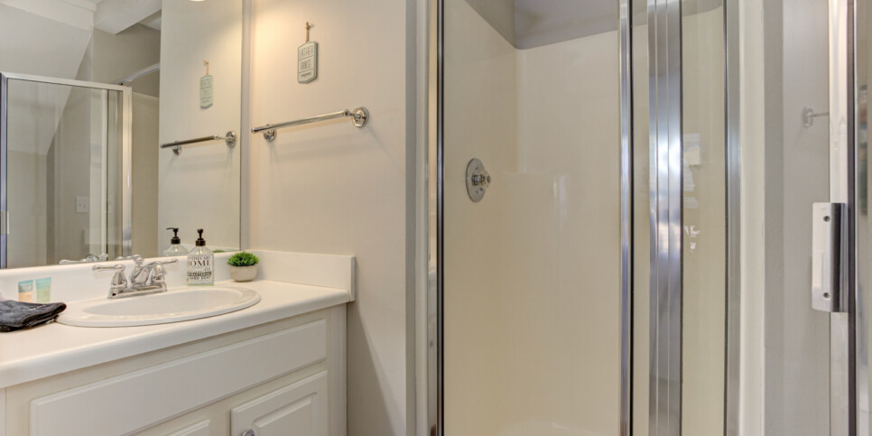 big canoe laughing fox bathroom