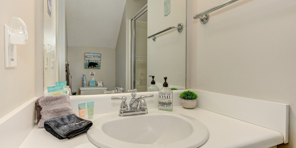 big canoe laughing fox bathroom