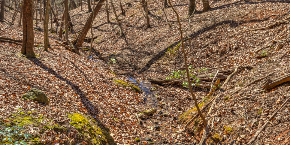 big canoe laughing fox exterior