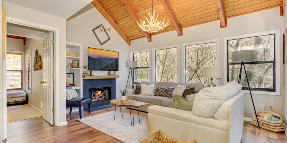 big canoe laughing fox living room