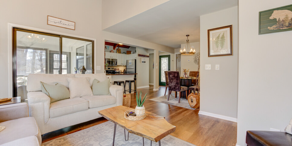 big canoe laughing fox living room