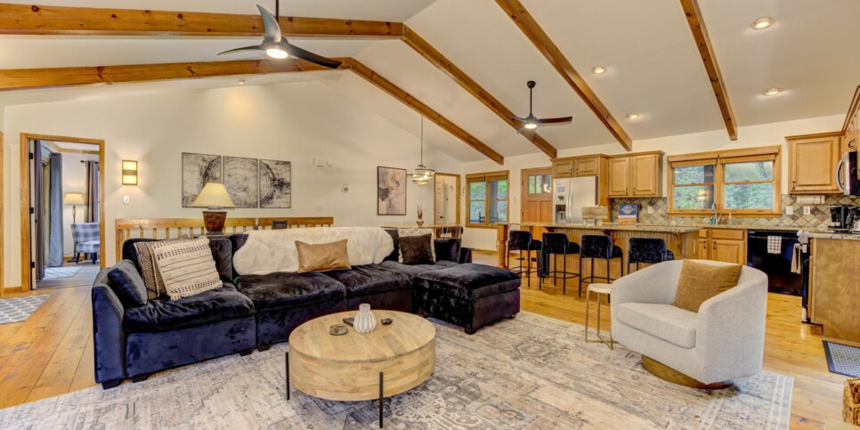Big Canoe Modern Nomad Living Room