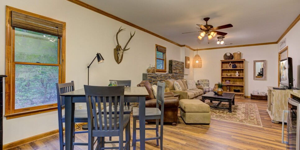 Big Canoe Modern Nomad Rec Room