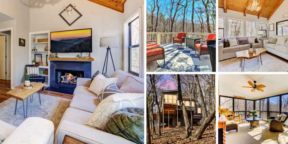 big canoe laughing fox collage