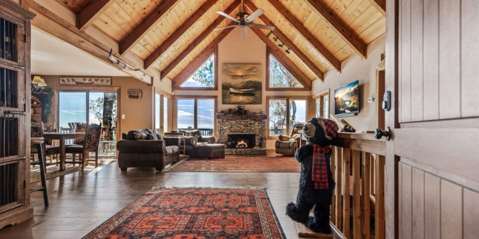 Big Canoe - Canoe Believe It - Living Room