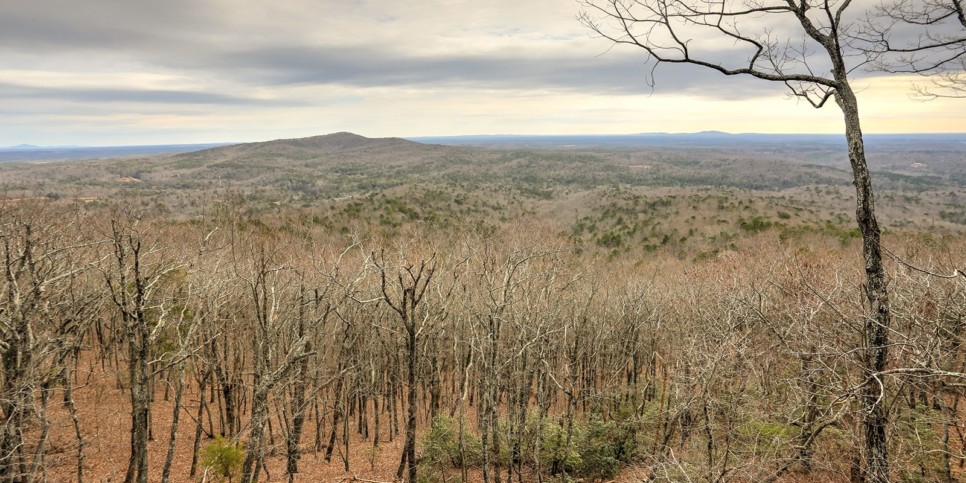 ga-cfy-big-canoe-cabin-mountainview-exterior-19