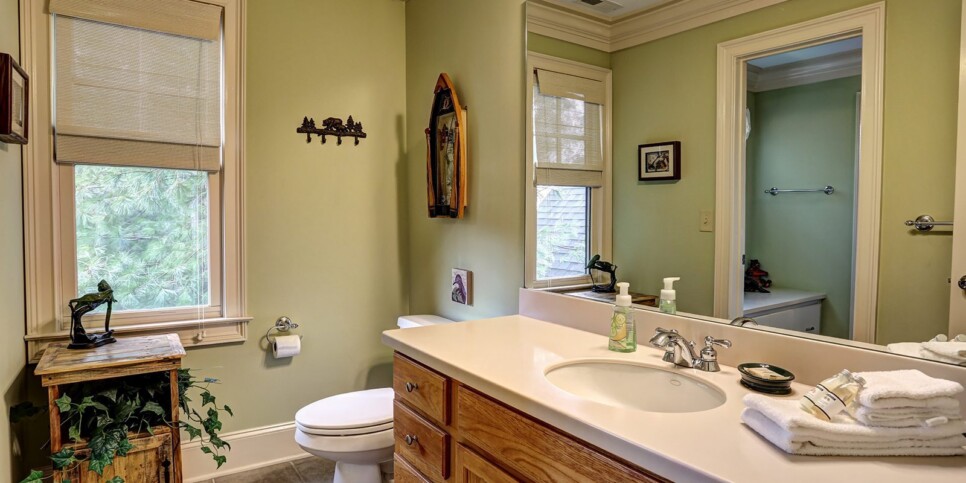 ga-cfy-big-canoe-cabin-sunrise-ridge-bathroom-5