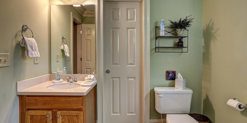 ga-cfy-big-canoe-cabin-sunrise-ridge-bathroom-6