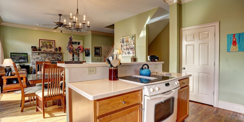 ga-cfy-big-canoe-cabin-sunrise-ridge-kitchen-2