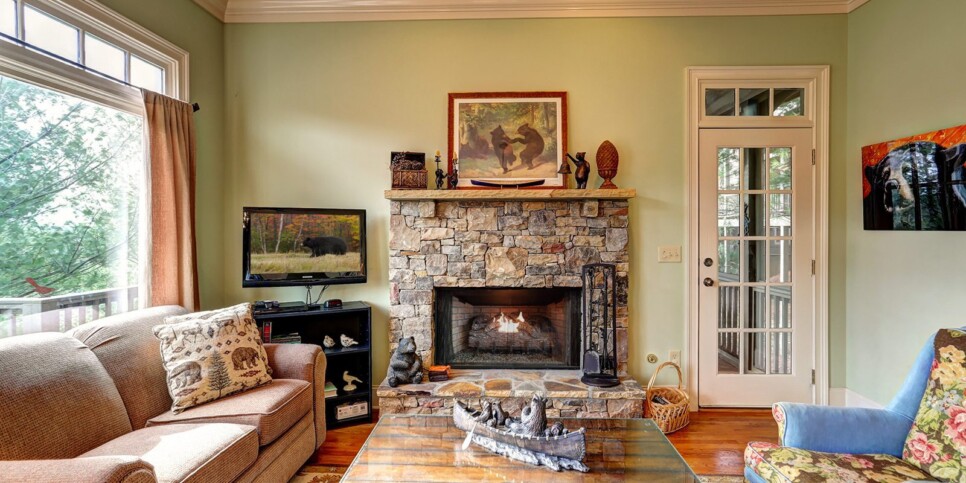 ga-cfy-big-canoe-cabin-sunrise-ridge-living-room-3