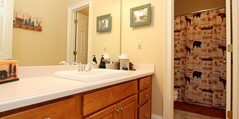 ga-cfy-big-canoe-cabins-tippy-canoe-lodge-bathroom-4