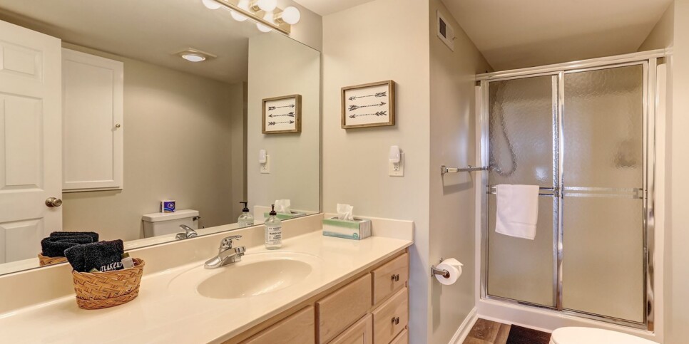 ga-cfy-big-canoe-cabins-vista-haven-bathroom-4