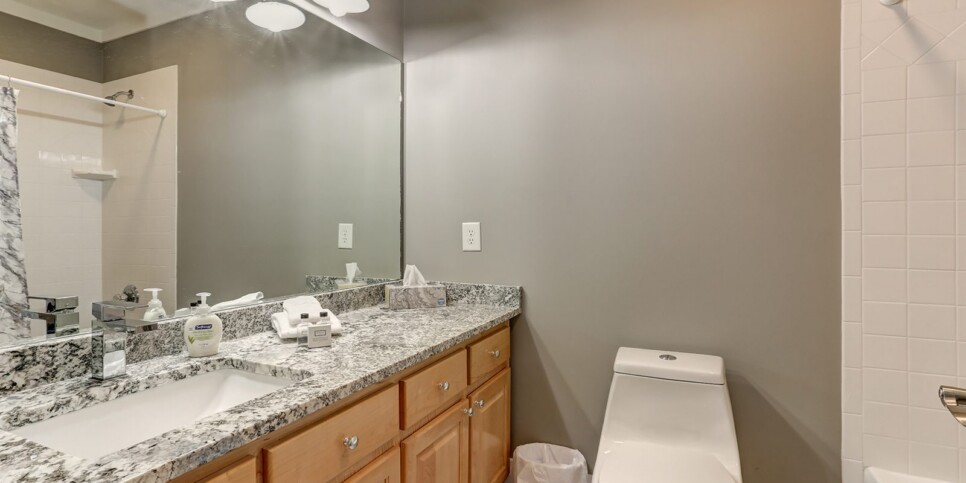 ga-cfy-big-canoe-cabins-wilderness-lodge-bathroom-6