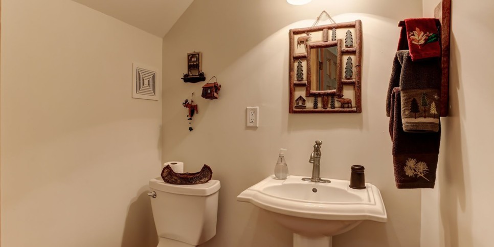 ga-cfy-big-canoe-wine down cottage-bathroom-8