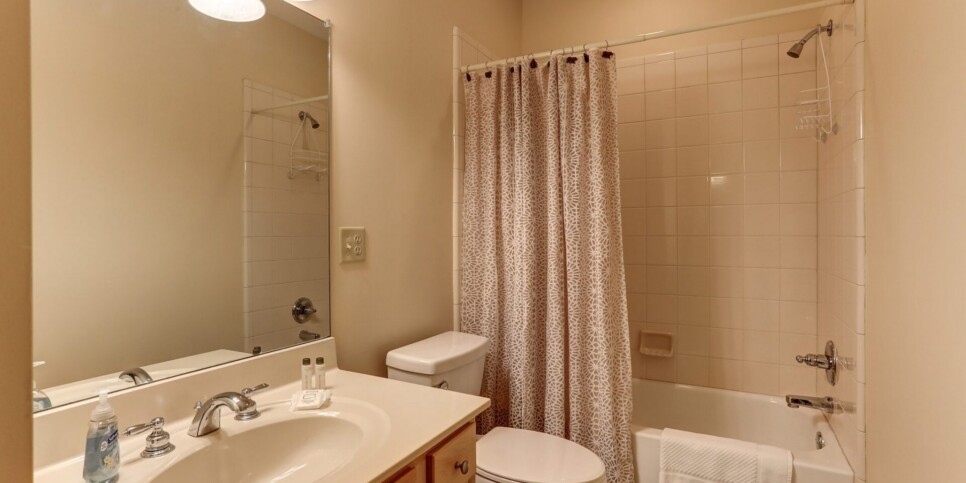 Big Canoe - Denny's Caribou Lodge - Bathroom