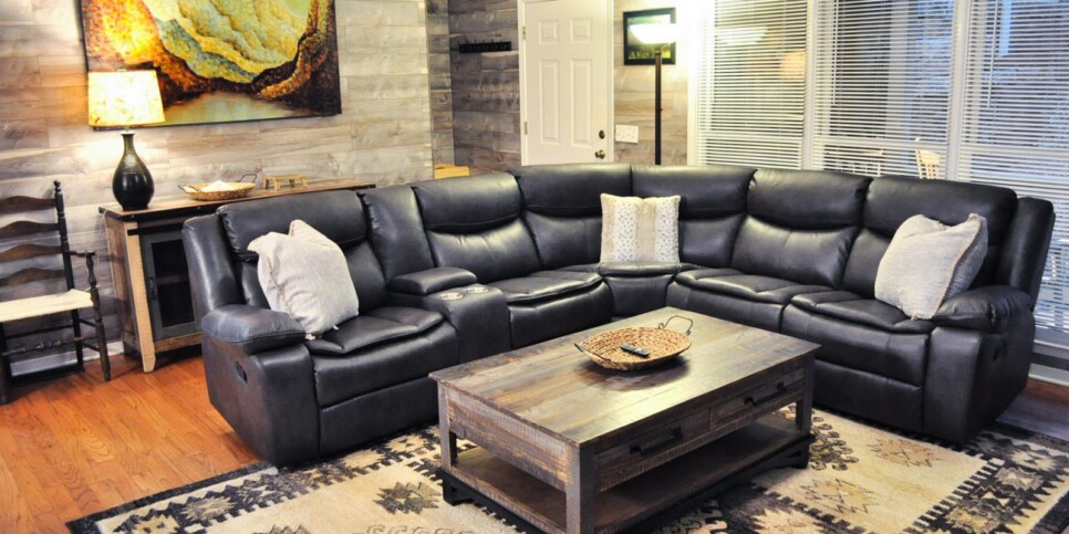big canoe hibernation station living room