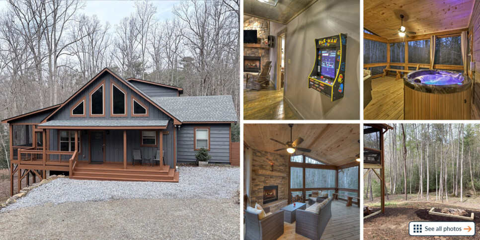 Holly Berry Hill - Collage