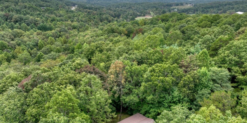 Blue Ridge Cabin - Mamas Bear Hideaway - Exterior