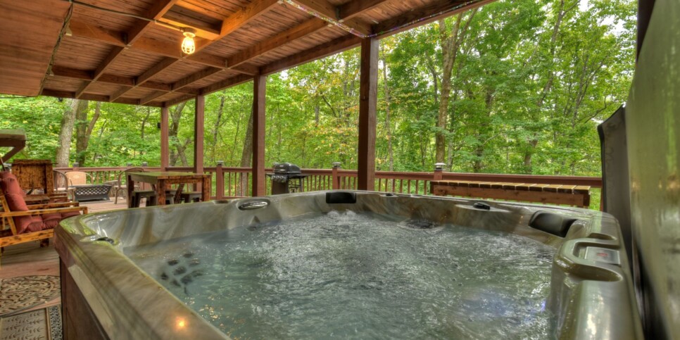 Blue Ridge Cabin - Mamas Bear Hideaway - Exterior