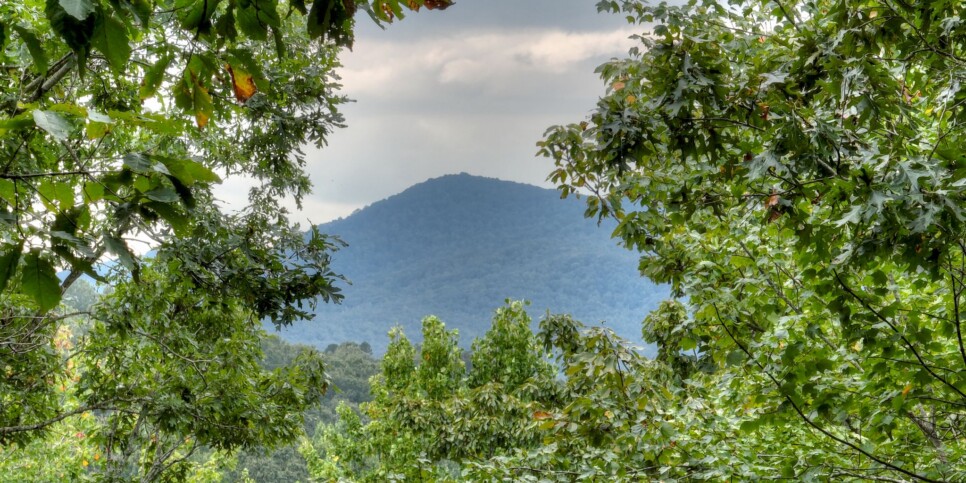 Blue Ridge Cabin - Mamas Bear Hideaway - Exterior